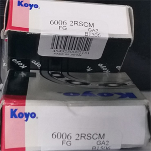 Bạc đạn 6006 2rs-vòng bi 6006 2rs 