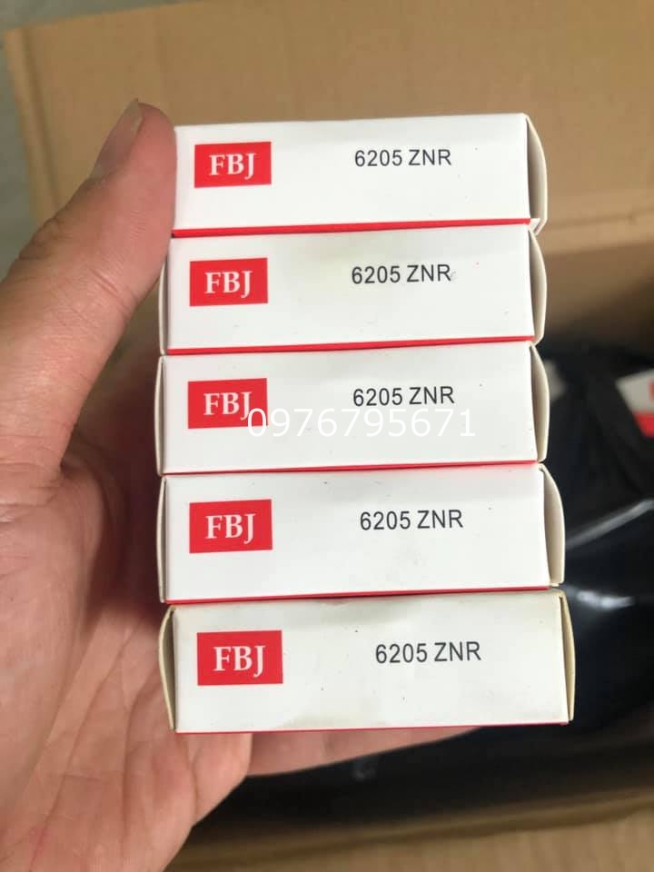 Bạc Đạn FBJ 6205-Vòng Bi FBJ 6205 ZNR